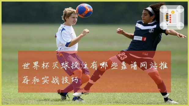 世界杯买球投注有哪些靠谱网站推荐和实战技巧