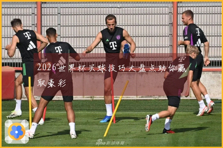 2026世界杯买球技巧大盘点助你赢取豪彩