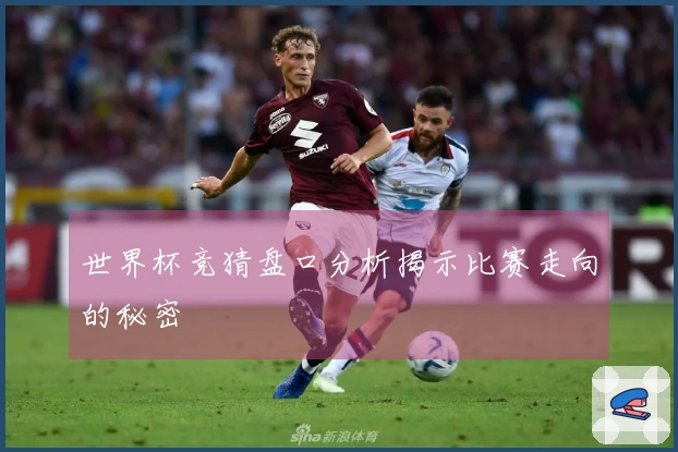 世界杯竞猜盘口分析揭示比赛走向的秘密