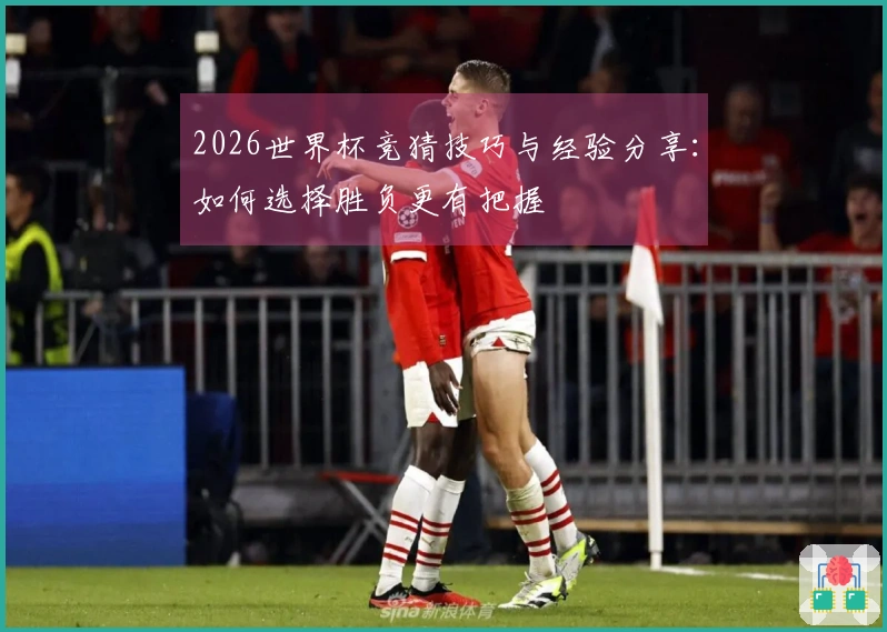 2026世界杯竞猜技巧与经验分享：如何选择胜负更有把握