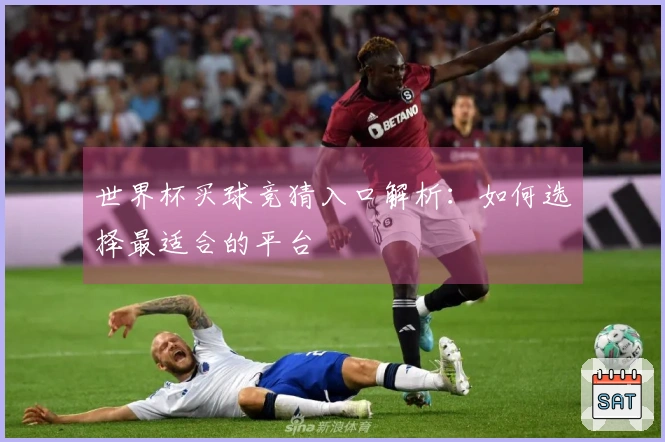 世界杯买球竞猜入口解析：如何选择最适合的平台