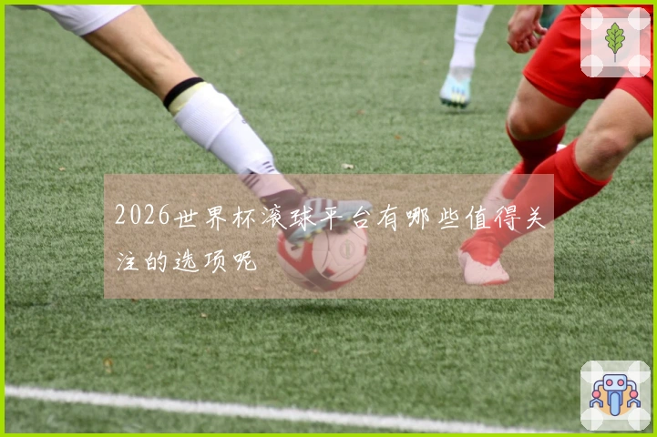 2026世界杯滚球平台有哪些值得关注的选项呢