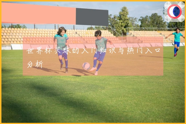 世界杯买球的入门知识与热门入口分析