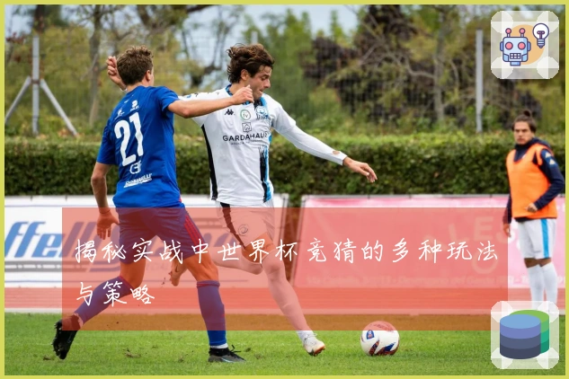 揭秘实战中世界杯竞猜的多种玩法与策略
