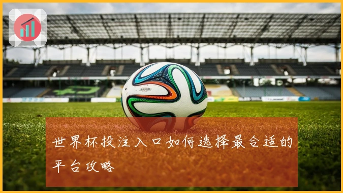 世界杯投注入口如何选择最合适的平台攻略