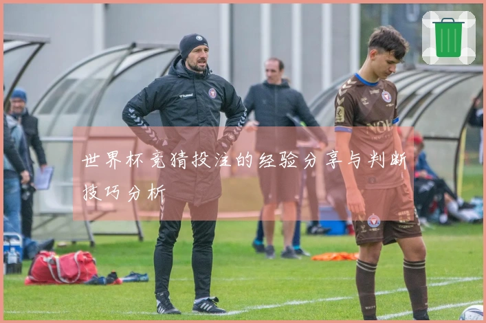 世界杯竞猜投注的经验分享与判断技巧分析