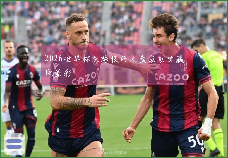 2026世界杯买球技巧大盘点助你赢取豪彩
